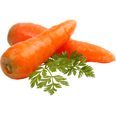 Fresh Carrots
